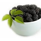 blackberries-in-bowl-145-x-126