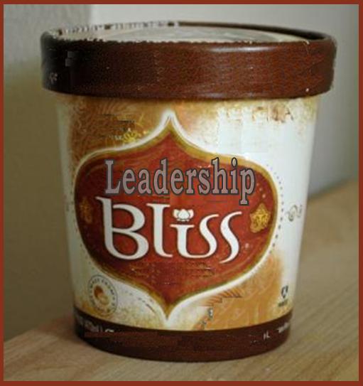 Leadership Bliss